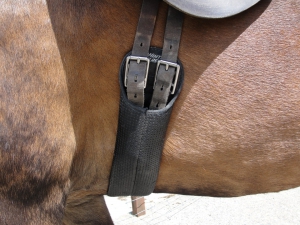 Elastic dressage girth